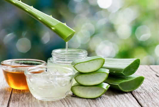 Aloe and tallow skin cream