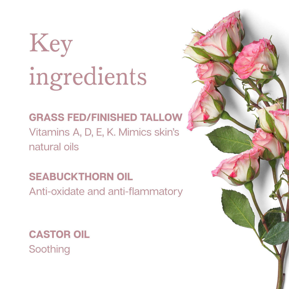 Vitamin Sea Tallow Soap