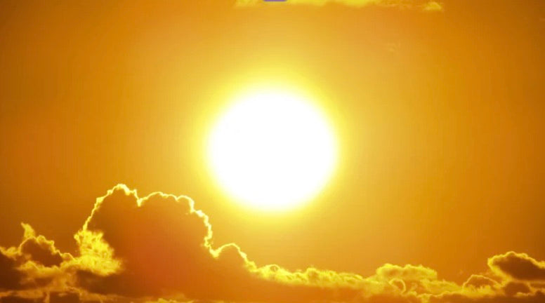 How to Store Your Tallow Cream in Hot Weather