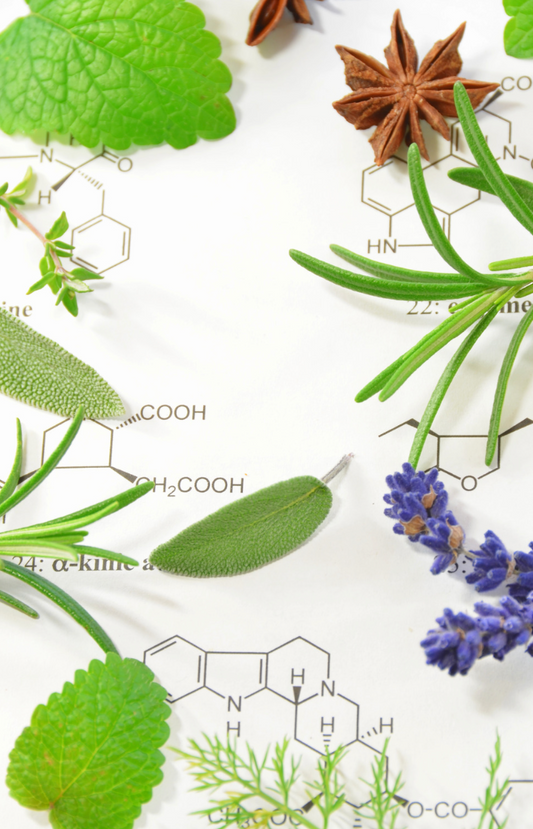 The Science Behind Why Tallow is Good for Acne