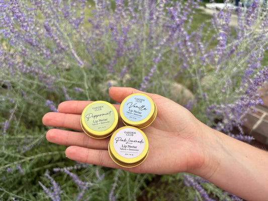 Tallow Lip Nectar
