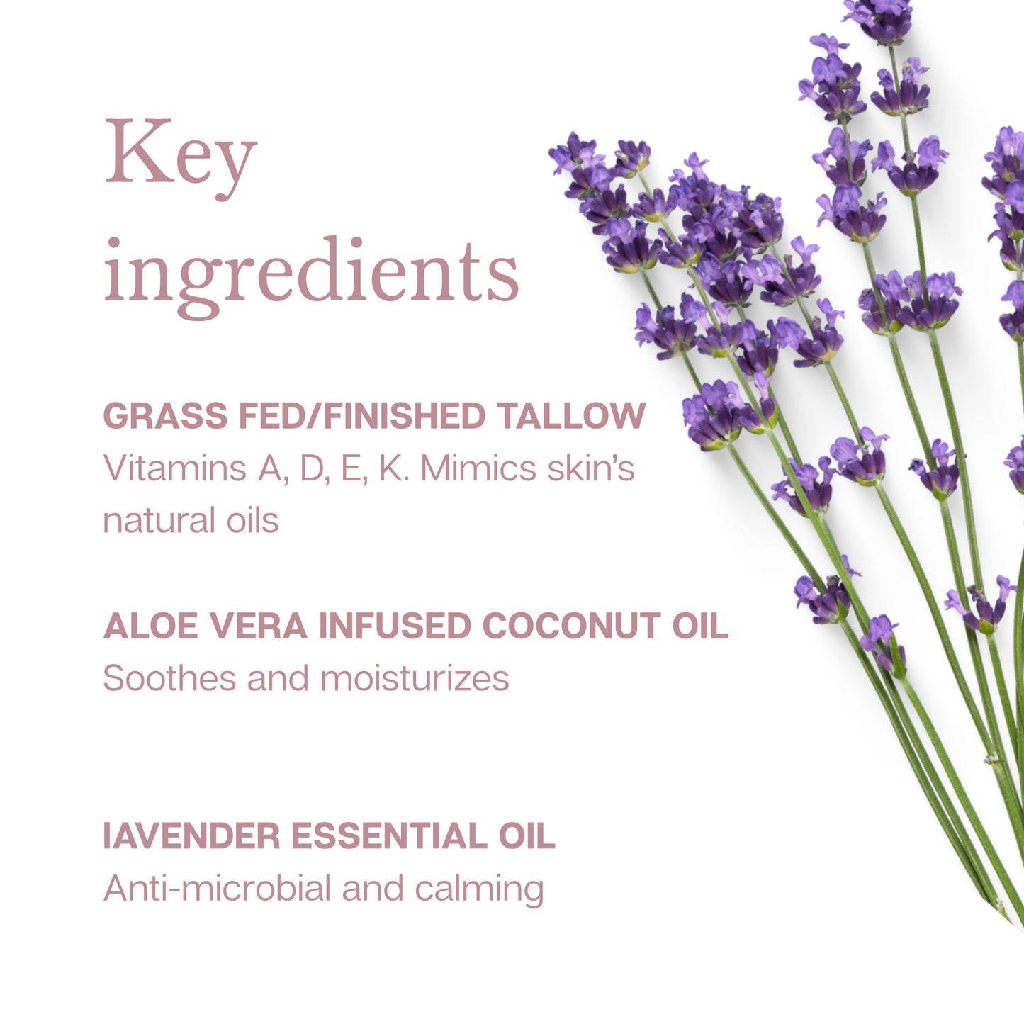 Everything Tallow Balm